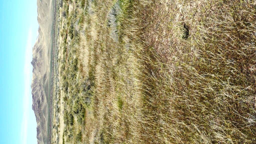 80.54 AC~HUMBOLDT CO, NEVADA~FRONTS NEVADA STATE ROUTE 789~ZONED COMMERCIAL FOR MOBIL HOME PARK, ETC~GOLCONDA AREA WITH GORGEOUS MTN PEAK VIEWS! photo 4