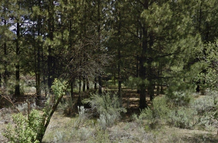 Great Building Parcel On .23 Acres Of Latakomie Shores In Klamath County Oregon photo 6