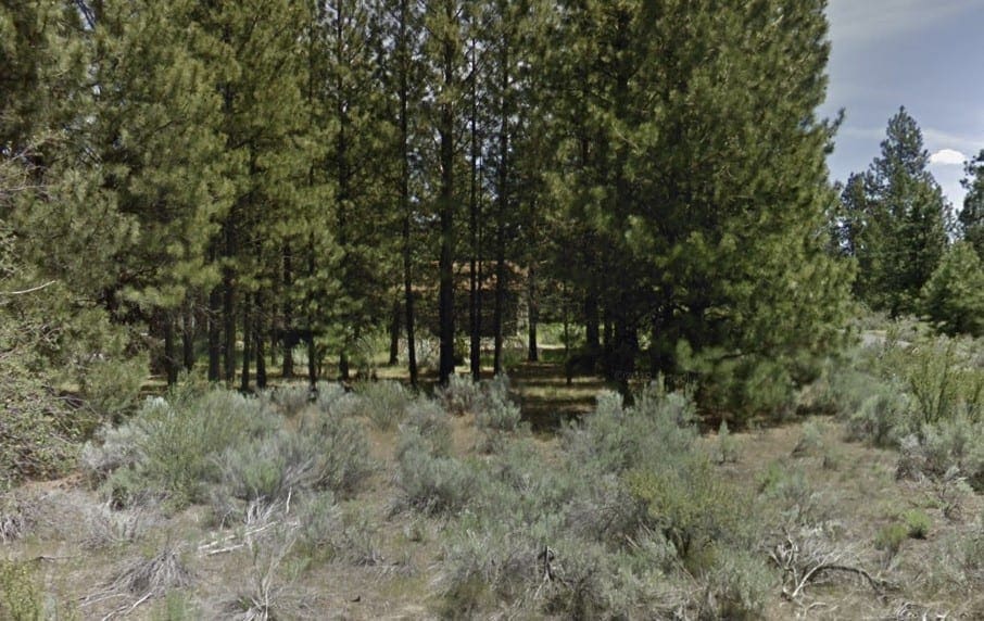 Great Building Parcel On .23 Acres Of Latakomie Shores In Klamath County Oregon photo 7