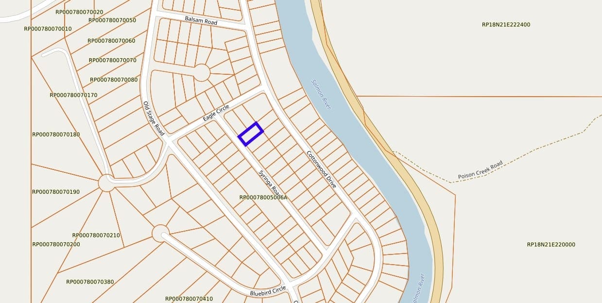Great Location! Half Acre Building Lot In Lemhi County, IDAHO ~ Footsteps away from the SALMON RIVER! photo 6