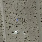 Thumbnail of 0.14 Acre Property in Armagosa Valley, Nevada, Nevada! Extremely close to California and Las Vegas! Photo 5