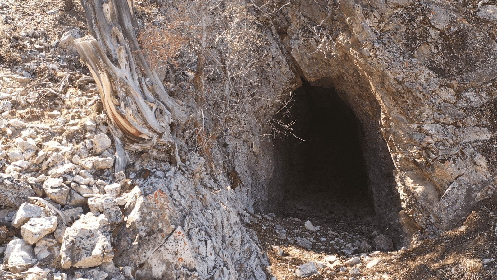 6.88 Acre CHAMPION MILLSITE, SUR 37B Patented Mining Claim in The Diamond Mining District Just North of Eureka, Nevada photo 3