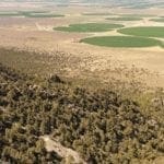 Thumbnail of 6.88 Acre CHAMPION MILLSITE, SUR 37B Patented Mining Claim in The Diamond Mining District Just North of Eureka, Nevada Photo 7