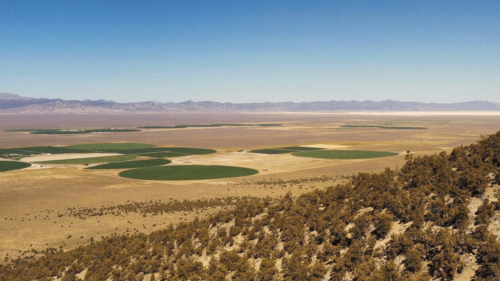 6.88 Acre CHAMPION MILLSITE, SUR 37B Patented Mining Claim in The Diamond Mining District Just North of Eureka, Nevada photo 5