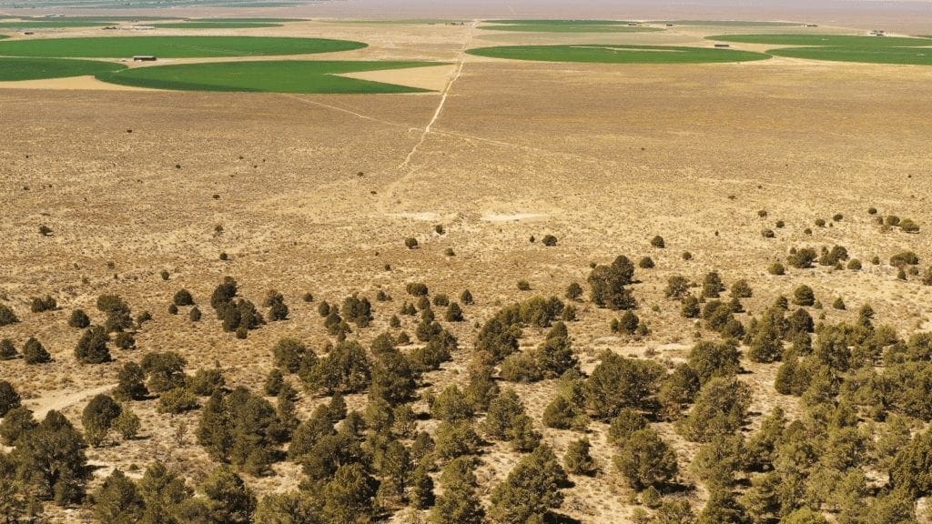 Large view of 3.44 Acre CHAMPION MILLSITE, SUR 37A Patented Mining Claim in The Diamond Mining District Just North of Eureka, Nevada Photo 4