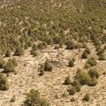 Thumbnail of 3.44 Acre CHAMPION MILLSITE, SUR 37A Patented Mining Claim in The Diamond Mining District Just North of Eureka, Nevada Photo 3