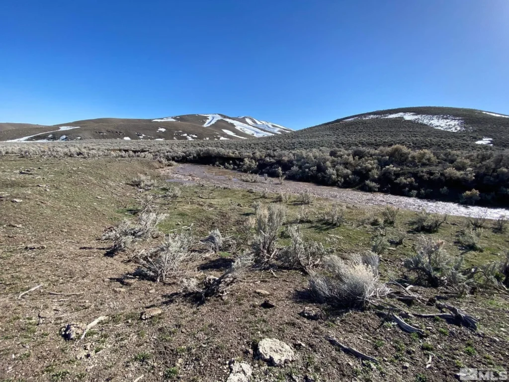 Large view of 41.39 ACRES IN LANDER CO, NEVADA WITH ROAD, CREEK, SPRING AND INCREDIBLE MOUNTAIN TOP VIEWS FOR MILES~NEW PICS MUST SEE AMAZING! Photo 37