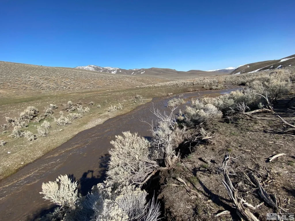 Large view of 41.39 ACRES IN LANDER CO, NEVADA WITH ROAD, CREEK, SPRING AND INCREDIBLE MOUNTAIN TOP VIEWS FOR MILES~NEW PICS MUST SEE AMAZING! Photo 41
