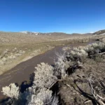 Thumbnail of 41.39 ACRES IN LANDER CO, NEVADA WITH ROAD, CREEK, SPRING AND INCREDIBLE MOUNTAIN TOP VIEWS FOR MILES~NEW PICS MUST SEE AMAZING! Photo 41