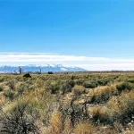 Thumbnail of 3.27 ACRES IN CRESTONE, COLORADO WITH BEAUTIFUL VIEWS OF THE SOUTHERN ROCKY MOUNTAINS AND BACKS CREEK. Photo 7