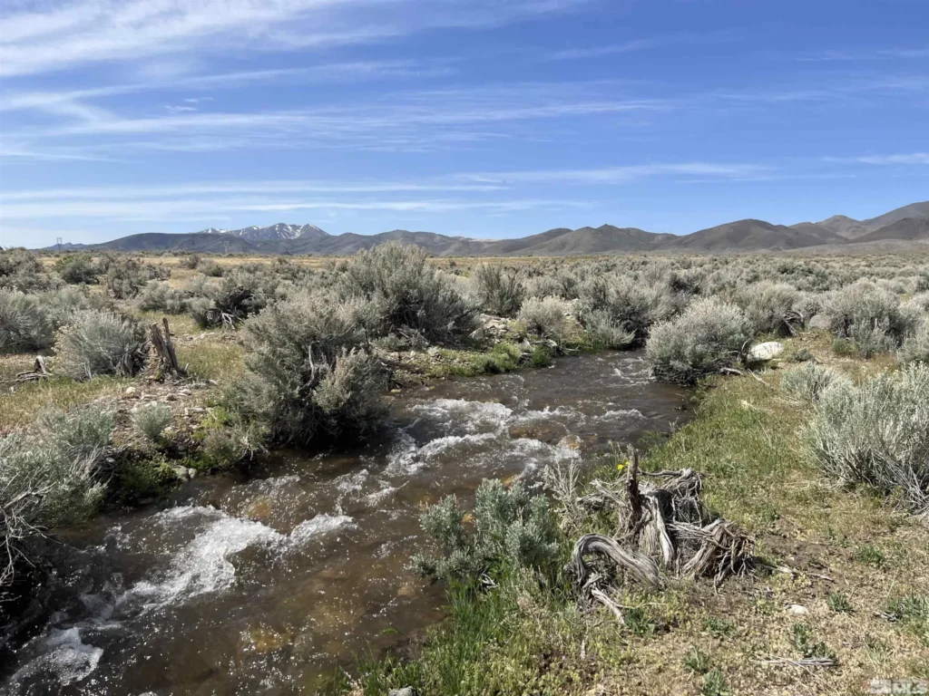 Large view of 41.39 ACRES IN LANDER CO, NEVADA WITH ROAD, CREEK, SPRING AND INCREDIBLE MOUNTAIN TOP VIEWS FOR MILES~NEW PICS MUST SEE AMAZING! Photo 34
