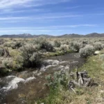 Thumbnail of 41.39 ACRES IN LANDER CO, NEVADA WITH ROAD, CREEK, SPRING AND INCREDIBLE MOUNTAIN TOP VIEWS FOR MILES~NEW PICS MUST SEE AMAZING! Photo 34
