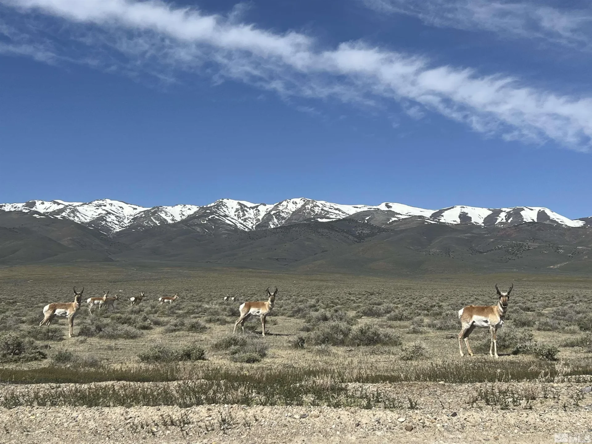 38.35 ACRES OF RAW VACANT LAND IN GORGEOUS LAS ANIMAS COUNTY, COLORADO WITH A MAJESTIC MOUNTAIN RISING UP IN THE MIDDLE TRULY INCREDIBLE! photo 30