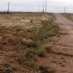 Thumbnail of Gorgeous building lot in Tierra Grande New Mexico with Power and Road! Photo 4