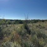 Thumbnail of 0.649 ACRE BUILDING LOT IN WRAY, COLORADO ON US. ROUTE 385 HIGHWAY FRONTAGE! Photo 12