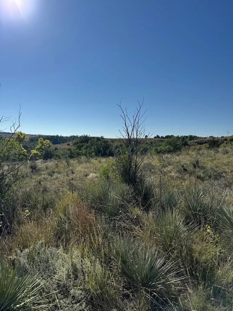 Large view of 0.649 ACRE BUILDING LOT IN WRAY, COLORADO ON US. ROUTE 385 HIGHWAY FRONTAGE! Photo 12