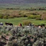 Thumbnail of Beautiful Nevada Land footsteps to Wild Horse Reservoir near Idaho Photo 4