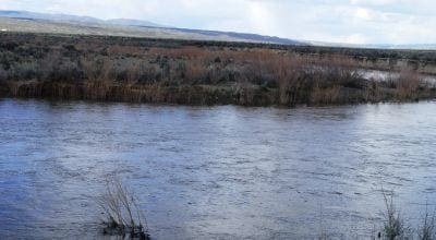 Secluded 1.14 Acres with Intermittent Stream, 7th St, Elko Nevada photo 2