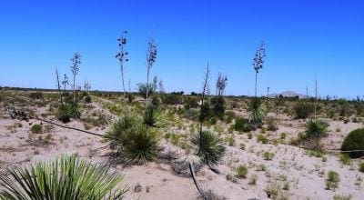 Own a Piece of the American Southwest! 2 Adjoining Lots Near Deming!