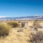 Thumbnail of 40.00 ACRES IN GORGEOUS SAGUACHE CO, COLORADO ~ SCENIC MOUNTAIN VIEWS ~ BIG GAME ~ WATER WELL! Photo 17