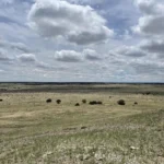 Thumbnail of 38.35 ACRES OF RAW VACANT LAND IN GORGEOUS LAS ANIMAS COUNTY, COLORADO WITH A MAJESTIC MOUNTAIN RISING UP IN THE MIDDLE TRULY INCREDIBLE! Photo 7