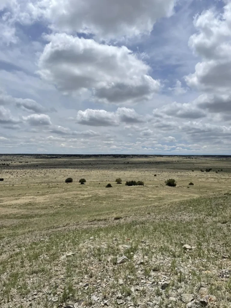 Large view of 38.35 ACRES OF RAW VACANT LAND IN GORGEOUS LAS ANIMAS COUNTY, COLORADO WITH A MAJESTIC MOUNTAIN RISING UP IN THE MIDDLE TRULY INCREDIBLE! Photo 7