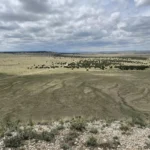 Thumbnail of 38.35 ACRES OF RAW VACANT LAND IN GORGEOUS LAS ANIMAS COUNTY, COLORADO WITH A MAJESTIC MOUNTAIN RISING UP IN THE MIDDLE TRULY INCREDIBLE! Photo 28