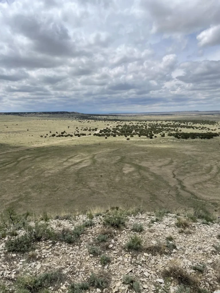 Large view of 38.35 ACRES OF RAW VACANT LAND IN GORGEOUS LAS ANIMAS COUNTY, COLORADO WITH A MAJESTIC MOUNTAIN RISING UP IN THE MIDDLE TRULY INCREDIBLE! Photo 28
