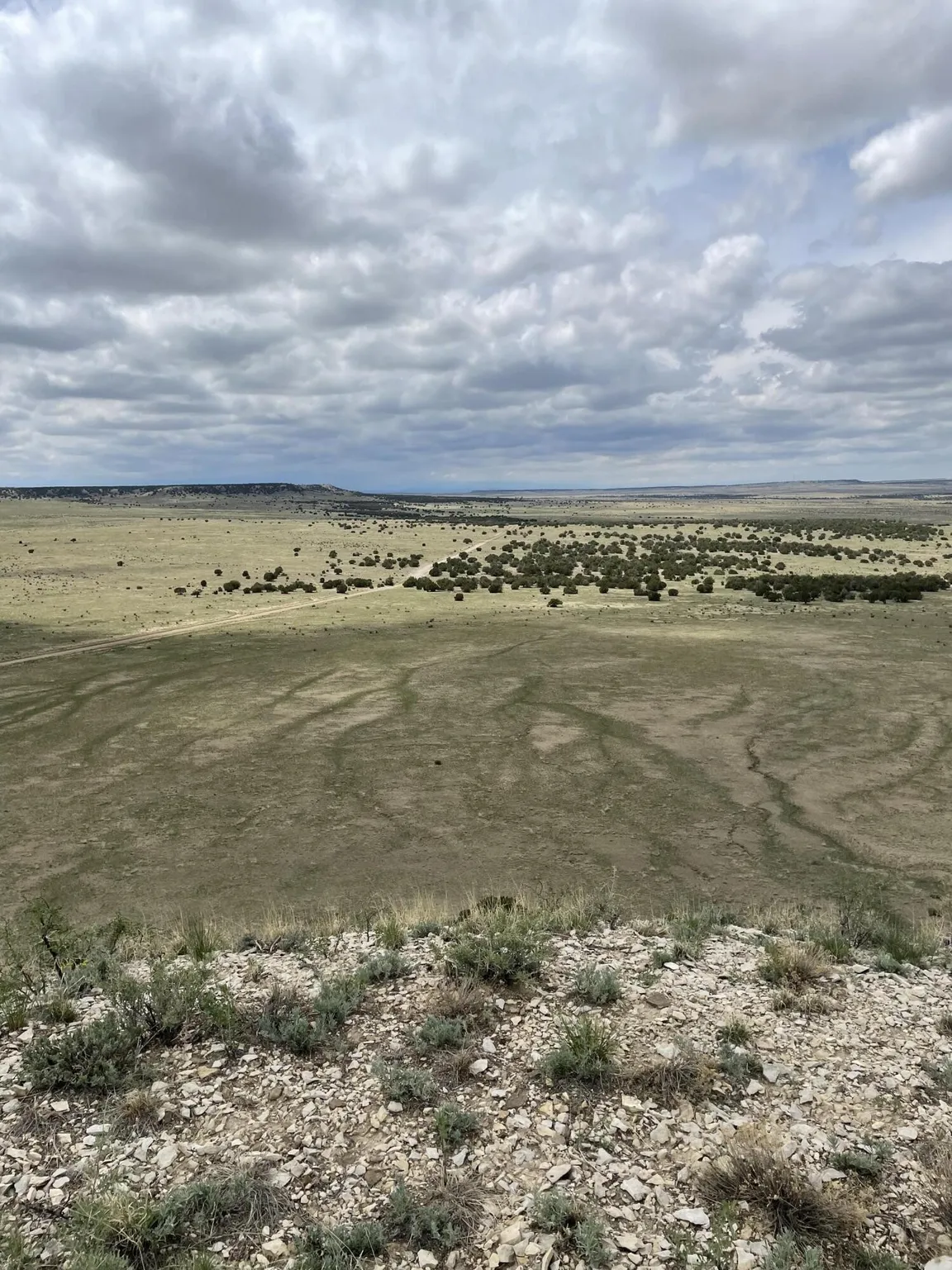 38.35 ACRES OF RAW VACANT LAND IN GORGEOUS LAS ANIMAS COUNTY, COLORADO WITH A MAJESTIC MOUNTAIN RISING UP IN THE MIDDLE TRULY INCREDIBLE! photo 28