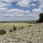 Thumbnail of 38.35 ACRES OF RAW VACANT LAND IN GORGEOUS LAS ANIMAS COUNTY, COLORADO WITH A MAJESTIC MOUNTAIN RISING UP IN THE MIDDLE TRULY INCREDIBLE! Photo 16