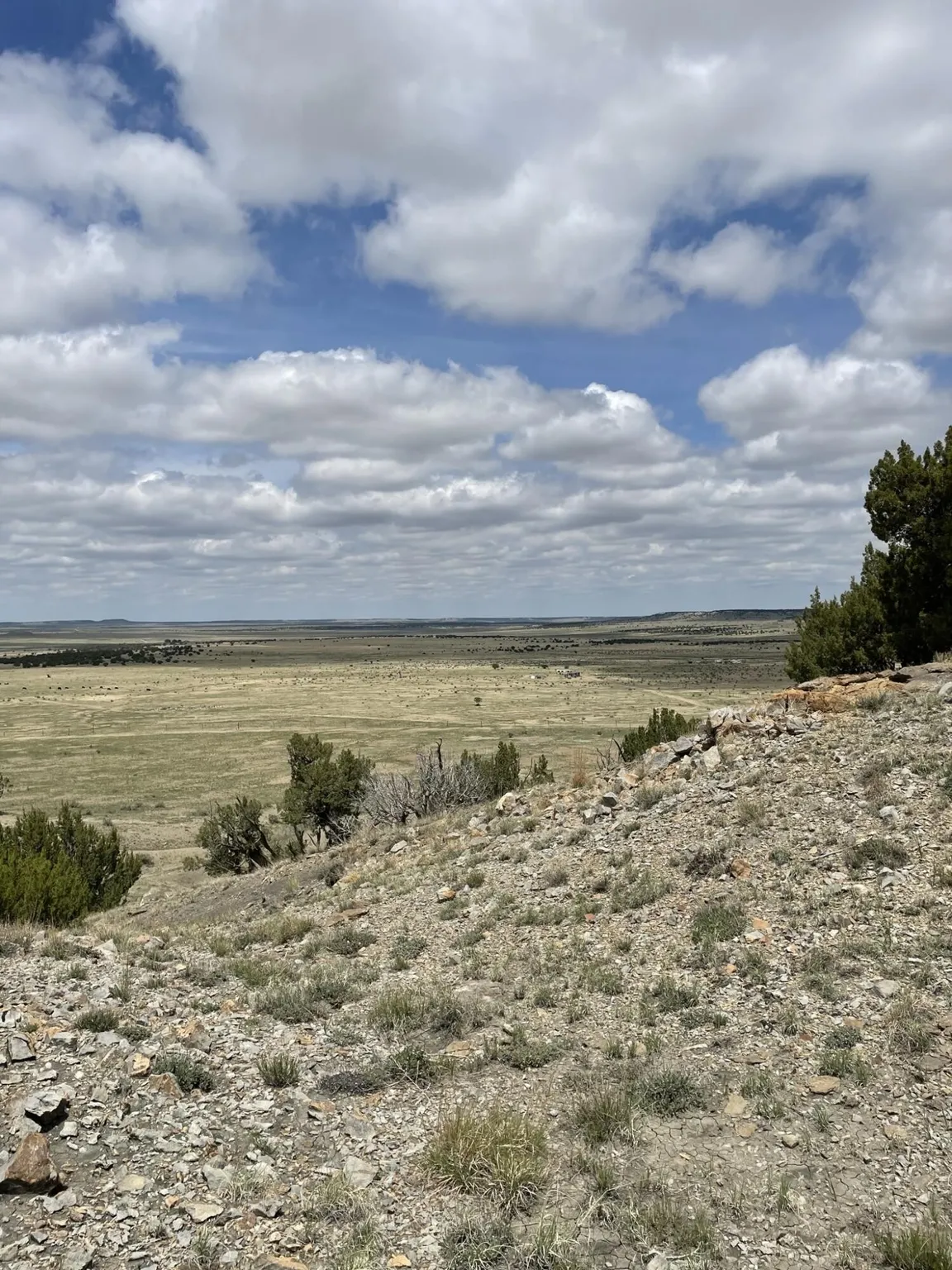 38.35 ACRES OF RAW VACANT LAND IN LAS ANIMAS COUNTY, COLORADO