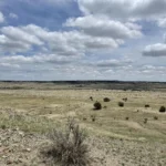 Thumbnail of 38.35 ACRES OF RAW VACANT LAND IN GORGEOUS LAS ANIMAS COUNTY, COLORADO WITH A MAJESTIC MOUNTAIN RISING UP IN THE MIDDLE TRULY INCREDIBLE! Photo 19