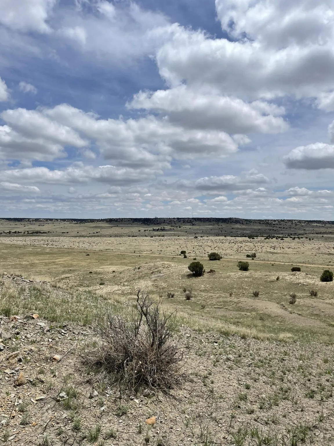 38.35 ACRES OF RAW VACANT LAND IN LAS ANIMAS COUNTY, COLORADO