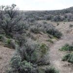 Thumbnail of Secluded 1.14 Acres with Intermittent Stream, 7th St, Elko Nevada Photo 9