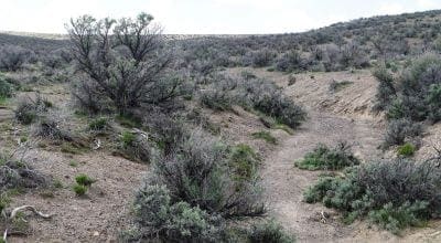 Large view of Secluded 1.14 Acres with Intermittent Stream, 7th St, Elko Nevada Photo 9