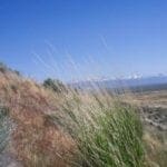 Thumbnail of Build your Dream Home on this Gorgeous 2.30 Acre Ranchette with FABULOUS VIEWS – Near Elko Photo 5