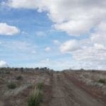 Thumbnail of Beautiful 2.27 Acres near Elko and the Ruby Mountains with 360 Degree views! Photo 6