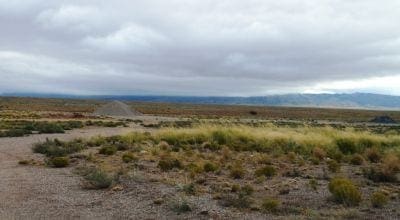 Gorgeous building lot in Tierra Grande New Mexico with Power and Road! photo 5