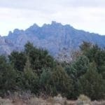 Thumbnail of Own a Piece of the American Southwest! 2 Adjoining Lots Near Deming! Photo 7