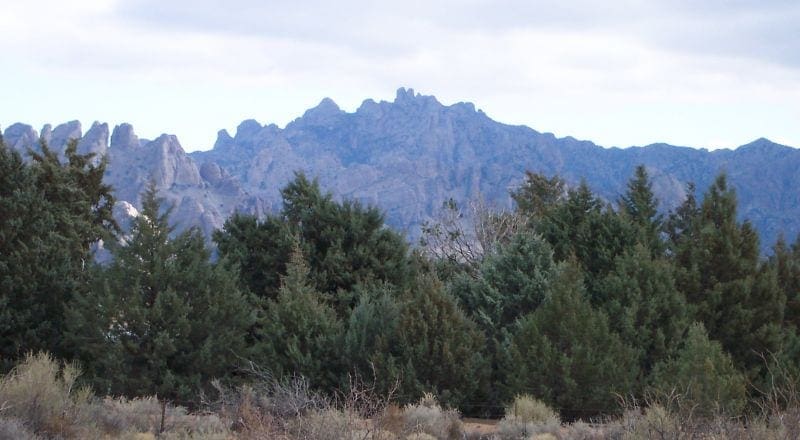 Own a Piece of the American Southwest! 2 Adjoining Lots Near Deming! photo 7