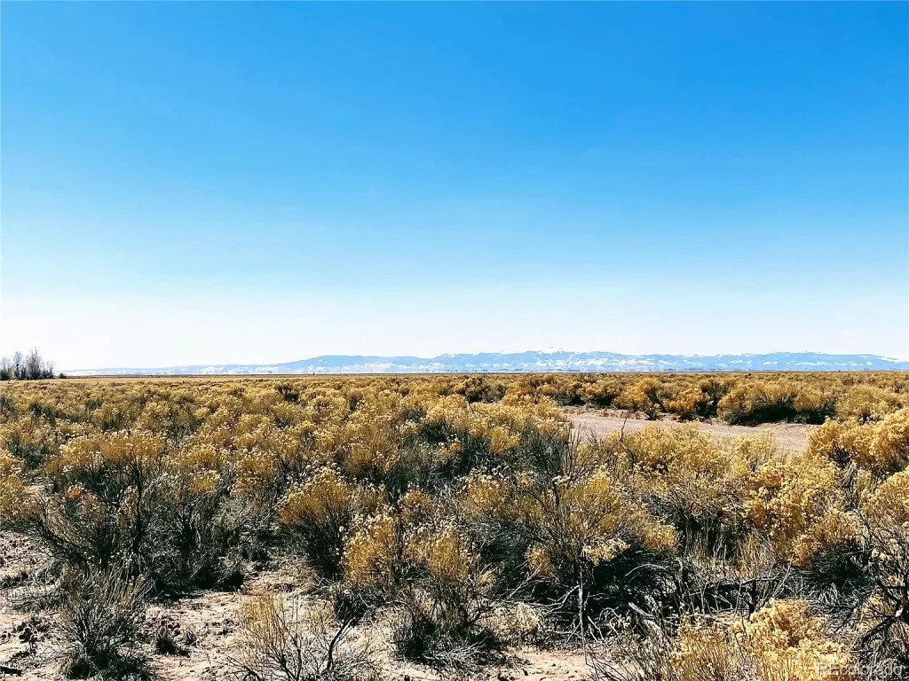 Large view of 3.27 ACRES IN CRESTONE, COLORADO WITH BEAUTIFUL VIEWS OF THE SOUTHERN ROCKY MOUNTAINS AND BACKS CREEK. Photo 6