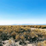 Thumbnail of 3.27 ACRES IN CRESTONE, COLORADO WITH BEAUTIFUL VIEWS OF THE SOUTHERN ROCKY MOUNTAINS AND BACKS CREEK. Photo 6