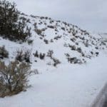 Thumbnail of 0.5 Acre lot located just feet from the Salmon River in Lemhi County, Idaho! Photo 19