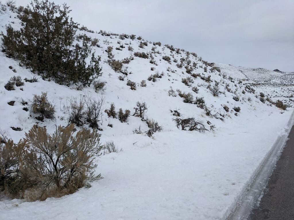 0.5 Acre lot located just feet from the Salmon River in Lemhi County, Idaho! photo 19