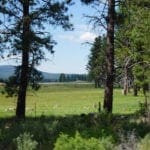 Thumbnail of Beautiful Timbered 80.76 Acre Oregon Ranch Land near California Border Photo 4