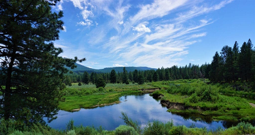 Large view of Beautiful Timbered 80.76 Acre Oregon Ranch Land near California Border Photo 5