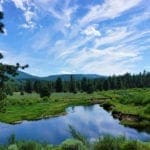 Thumbnail of Beautiful Timbered 80.76 Acre Oregon Ranch Land near California Border Photo 5