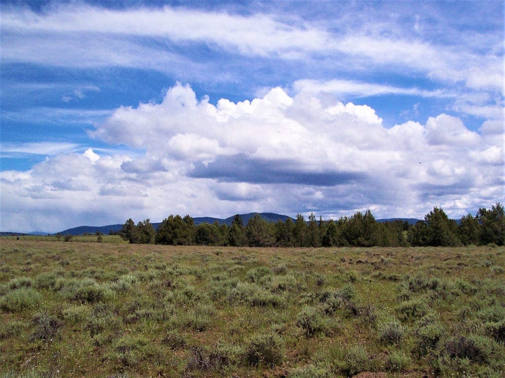 Large view of Beautiful Timbered 80.76 Acre Oregon Ranch Land near California Border Photo 1