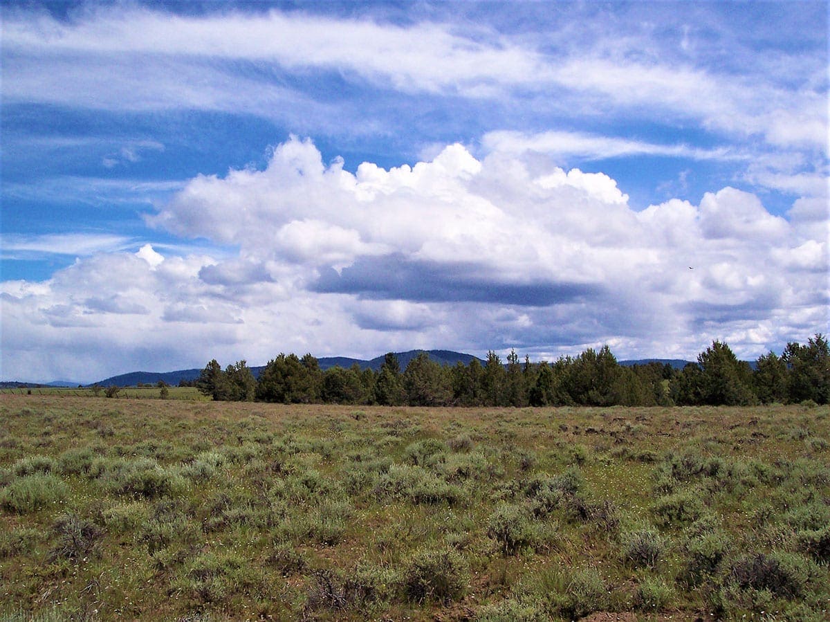 Beautiful Timbered 80.76 Acre Oregon Ranch Land near California Border photo 1