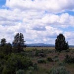 Thumbnail of Beautiful Timbered 80.76 Acre Oregon Ranch Land near California Border Photo 3
